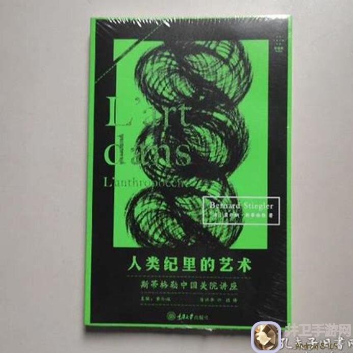 萌新必看！揭秘天垣纪里的最强小细节指南